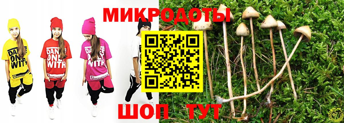 Алапаевск  Галлюциногенные грибы ЛСД  Галлюциногенные грибы MAGIC MUSHROOMS  где купить наркоту  Вход с VPN 