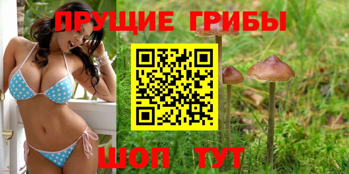 Галлюциногенные грибы Cubensis Алапаевск